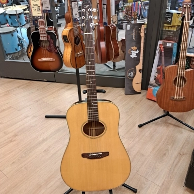 VANTAGE ACOUSTIC